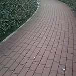 Bilocale Comodamente Collegato Con Centro Milano Apartment *